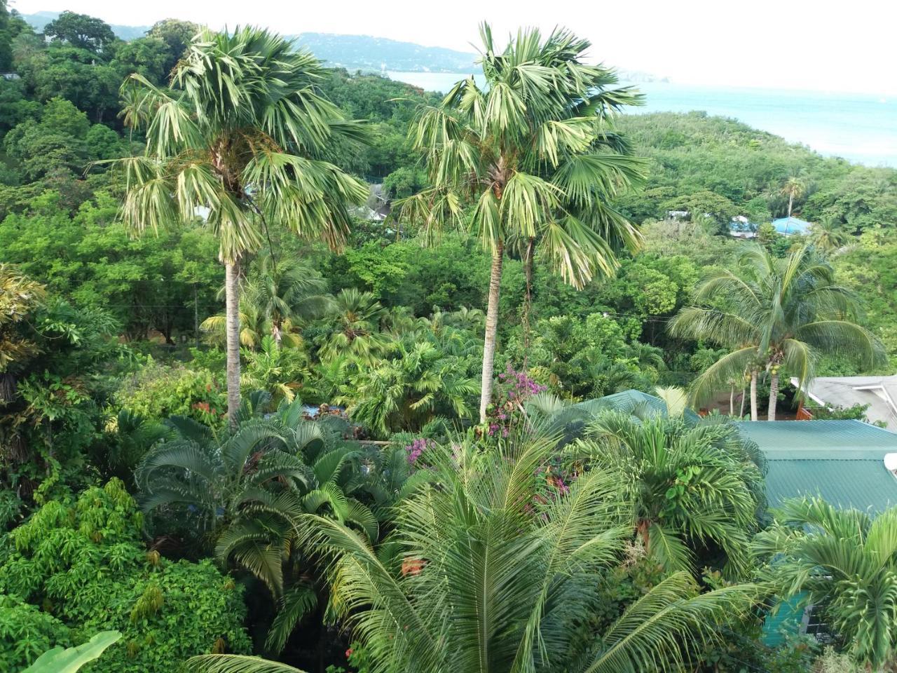 Apartment Espoir Castries Luaran gambar
